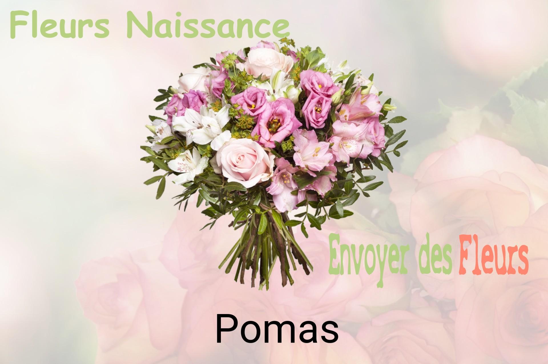 Bouquet de fleurs de naissance livré à Pomas